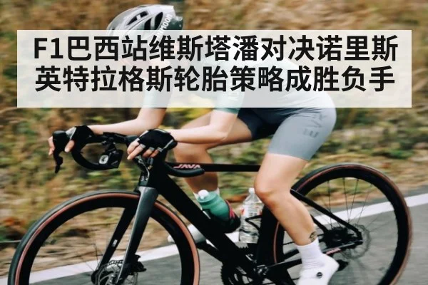 F1巴西站维斯塔潘对决诺里斯 英特拉格斯轮胎策略成胜负手